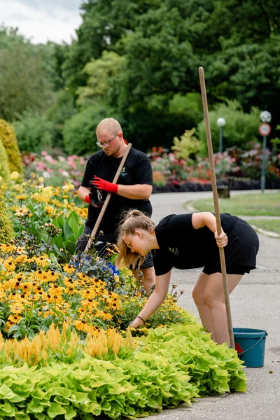 Personen im Garten bei der Arbeit Drei Personen arbeiten in einem Garten. Eine Frau mit Brille pflückt Pflanzen, während zwei andere Personen im Blumenbeet graben. Der Garten enthält eine Vielzahl farbiger Blumen und einen bunten Strauch im Hintergrund.