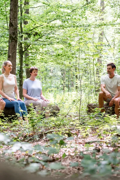 Meditation im Wald Fünf Erwachsene sitzen in einem Wald auf umgestürzten Baumstämmen und meditieren mit geschlossenen Augen.