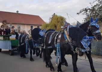 Leonhardifest in Aigen / Inn